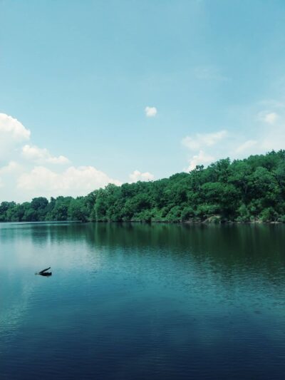 Gorman Park - Vincent, AL