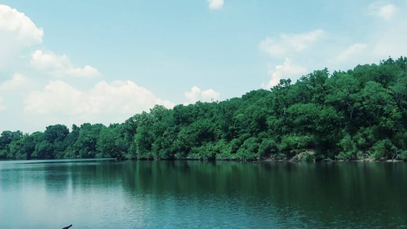 Gorman Park - Vincent, AL