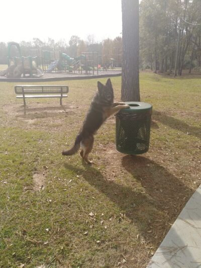 Vincent Municipal Park - Vincent, AL