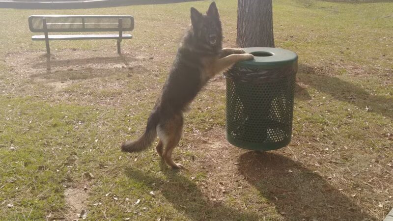 Vincent Municipal Park - Vincent, AL