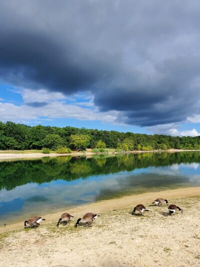South Vineland Park - Vineland, NJ