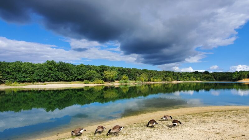 South Vineland Park - Vineland, NJ