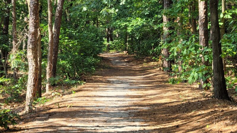 South Vineland Park - Vineland, NJ