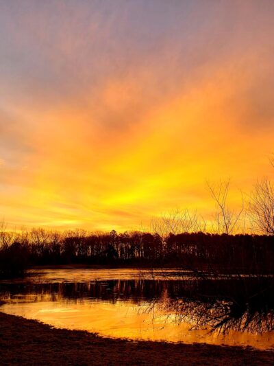 South Vineland Park - Vineland, NJ