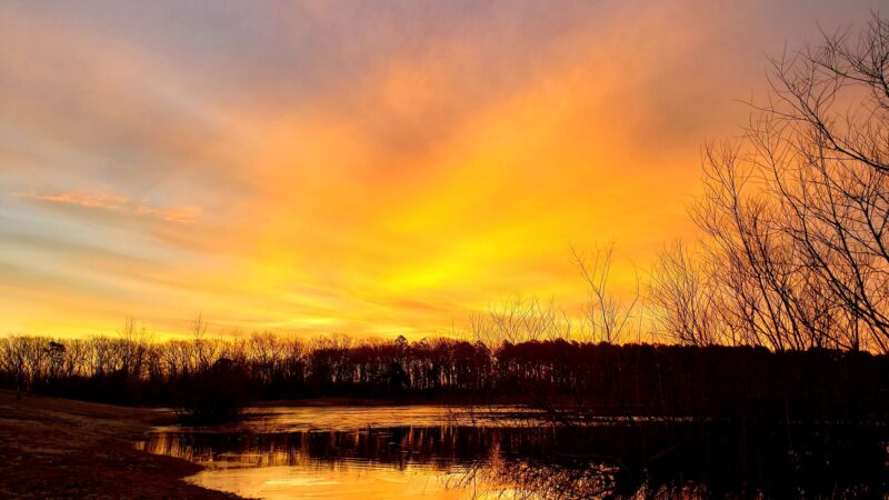 South Vineland Park - Vineland, NJ