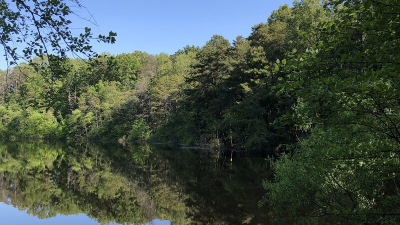 South Vineland Park - Vineland, NJ