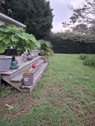 Bayville Farms Dog Park - Virginia Beach, VA