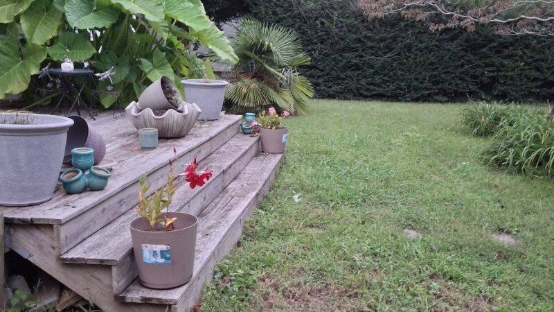 Bayville Farms Dog Park - Virginia Beach, VA