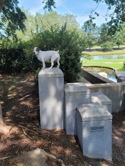 Dunwoody Park - Virginia Beach, VA
