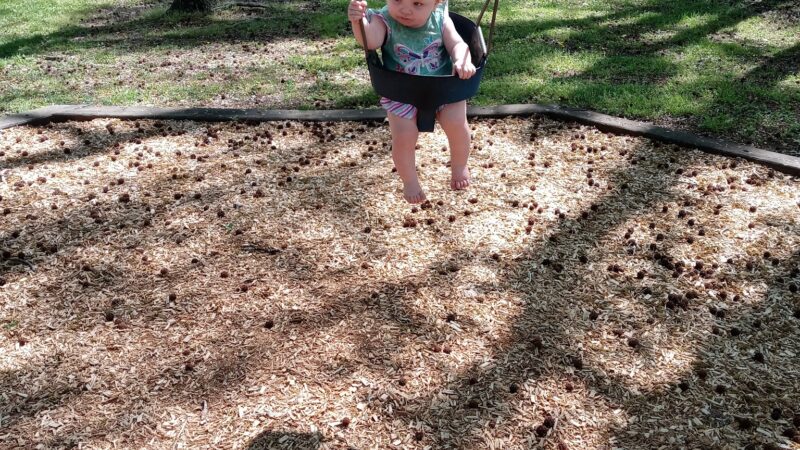 Lineberry Park - Virginia Beach, VA