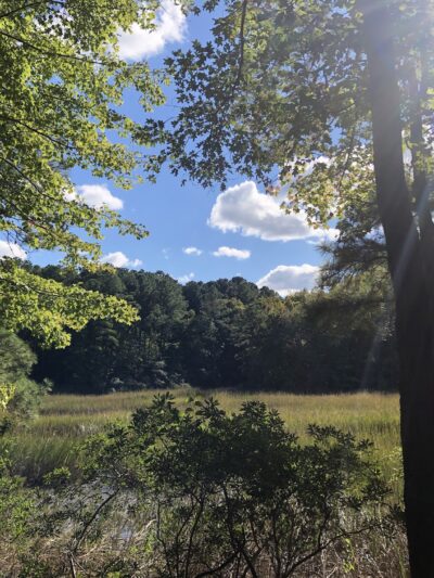Marshview Park - Virginia Beach, VA