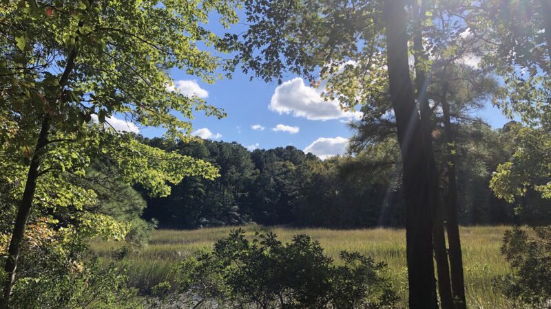 Marshview Park - Virginia Beach, VA