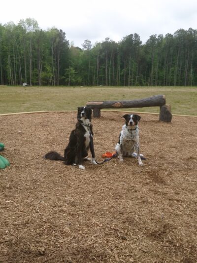 Marshview Park Field - Virginia Beach, VA