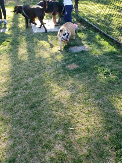 Marshview Park Field - Virginia Beach, VA