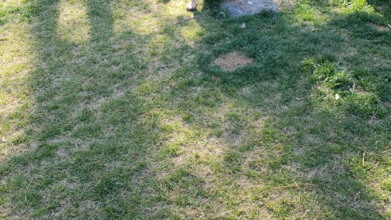 Marshview Park Field - Virginia Beach, VA