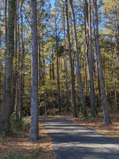 Marshview Park Field - Virginia Beach, VA