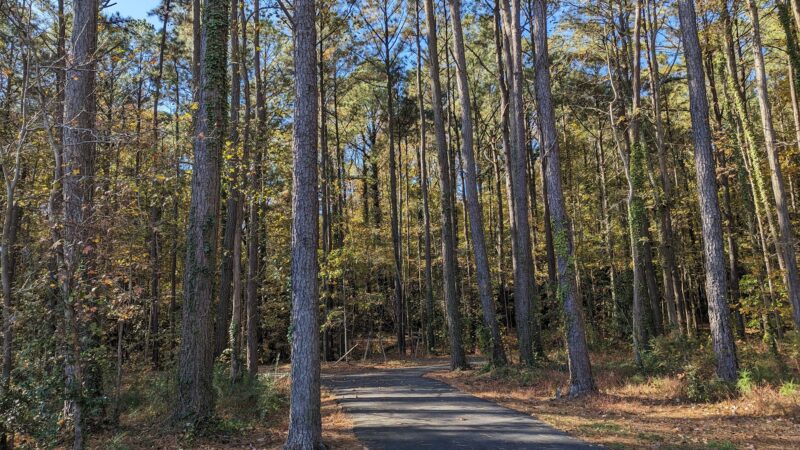 Marshview Park Field - Virginia Beach, VA