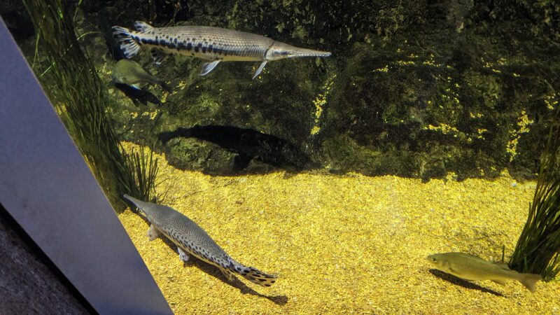 Marshview Park Field - Virginia Beach, VA