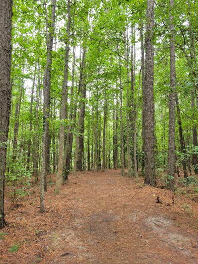 Marshview Park (Southside) - Virginia Beach, VA