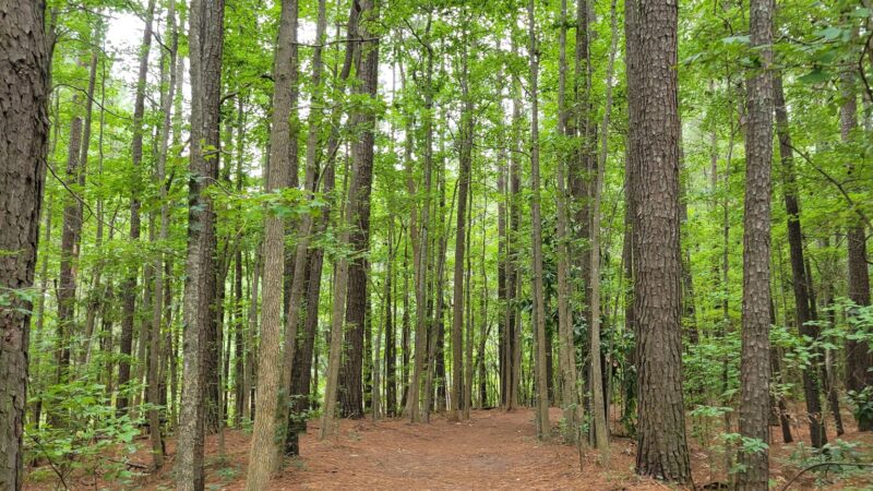 Marshview Park (Southside) - Virginia Beach, VA