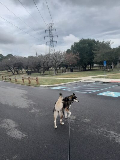 Woodstock Dog Park - Virginia Beach, VA