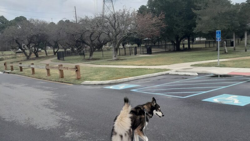 Woodstock Dog Park - Virginia Beach, VA