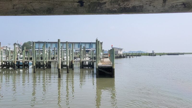 Wachapreague Seaside Park - Wachapreague, VA