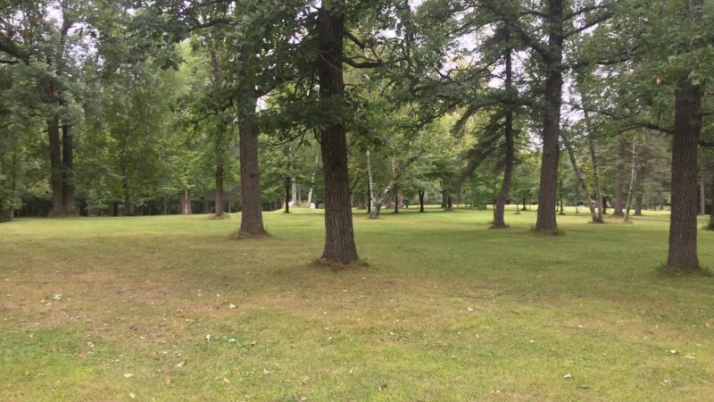 Blacks Grove Park - Wadena, MN