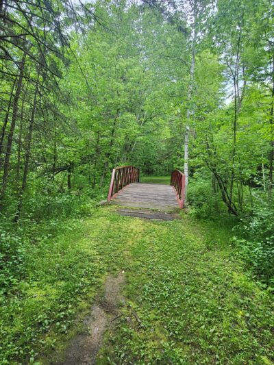 Blacks Grove Park - Wadena, MN