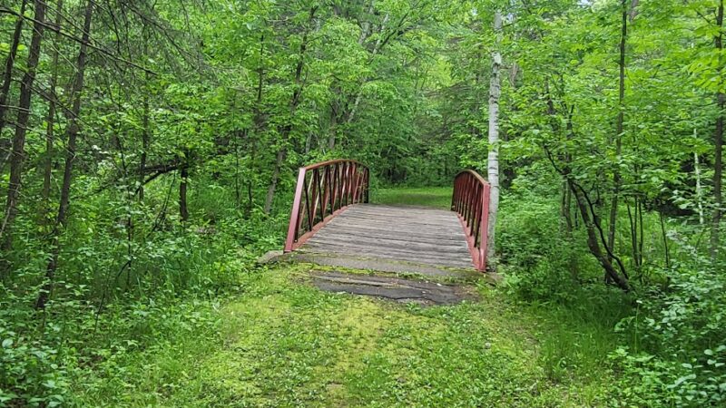 Blacks Grove Park - Wadena, MN