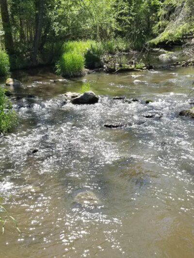 Blacks Grove Park - Wadena, MN