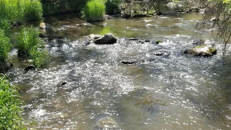 Blacks Grove Park - Wadena, MN