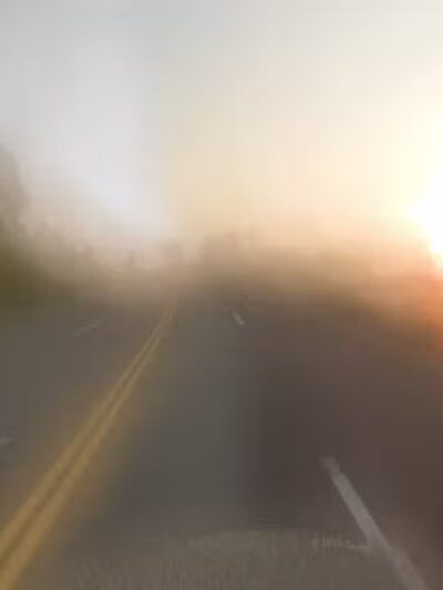 Dog Park at Love's Travel Stops - Wadsworth, IL