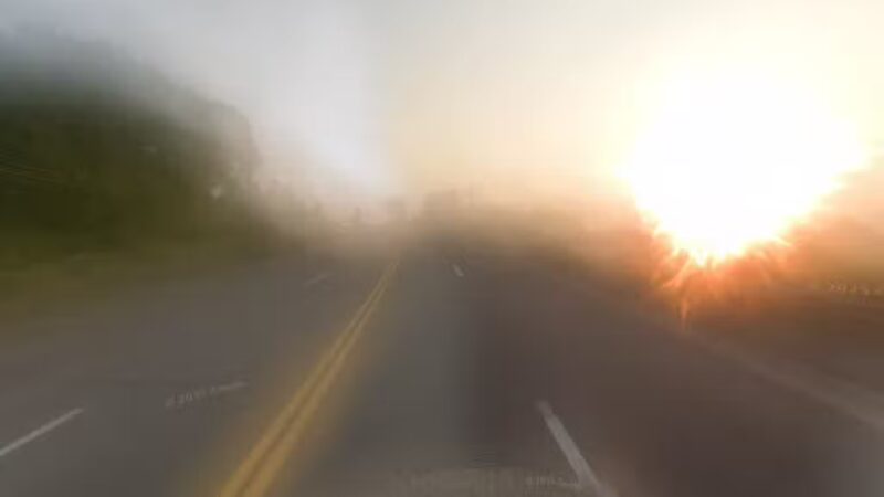 Dog Park at Love's Travel Stops - Wadsworth, IL