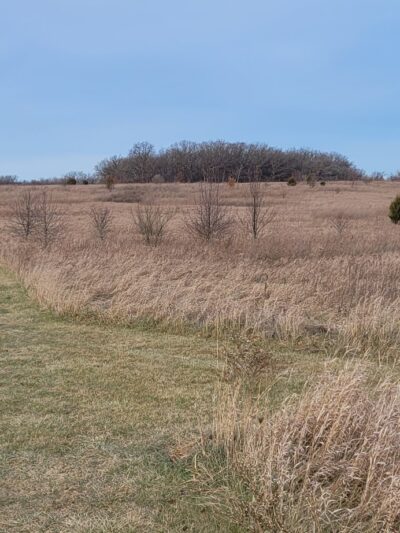 Waukegan Savanna Forest Preserve - Wadsworth, IL