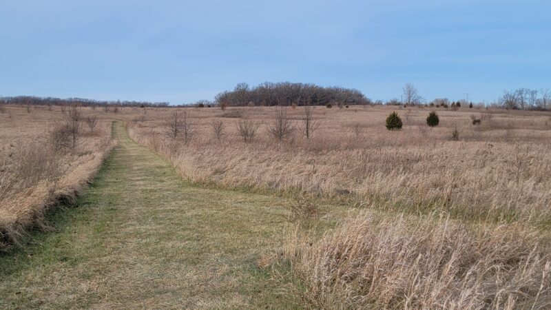 Waukegan Savanna Forest Preserve - Wadsworth, IL