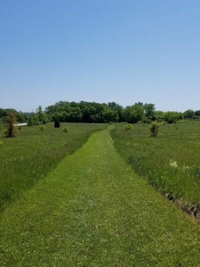 Waukegan Savanna Forest Preserve - Wadsworth, IL