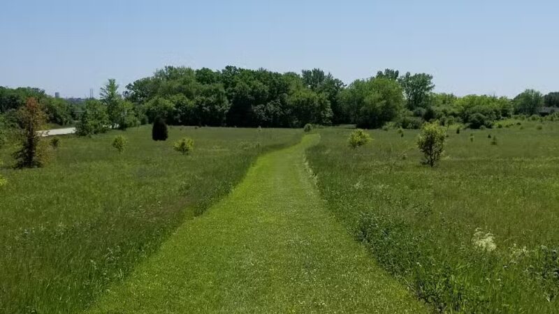 Waukegan Savanna Forest Preserve - Wadsworth, IL