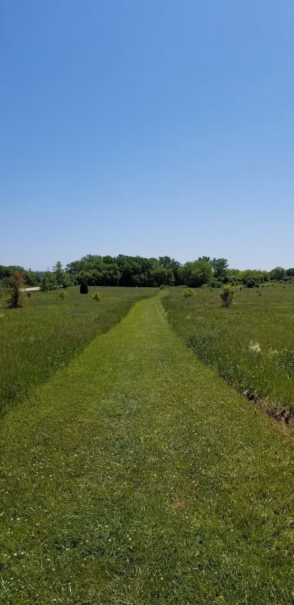Waukegan Savanna Forest Preserve - Wadsworth, IL