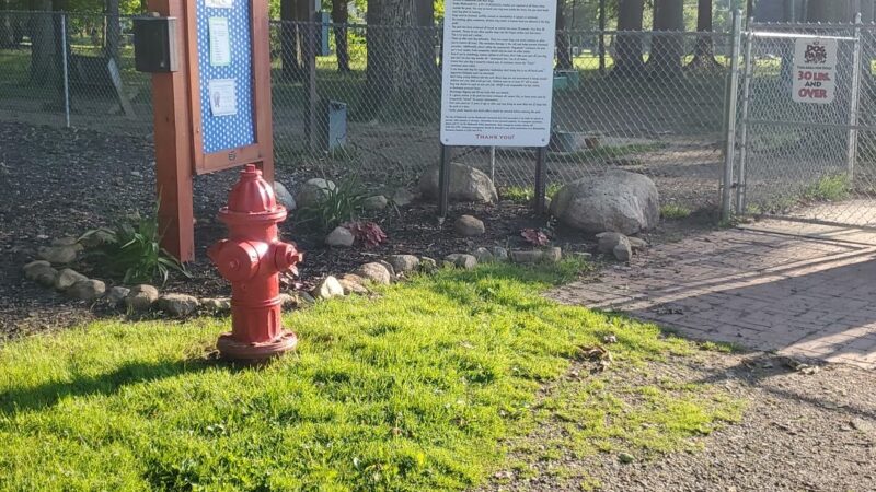 Wadsworth Community Dog Park - Wadsworth, OH