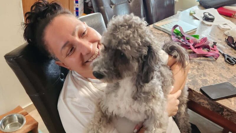 Waggin'Tails Pet Services by Lisa - ,
