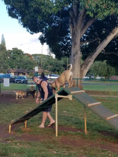 Wheeler Dog Park - Wahiawa, HI