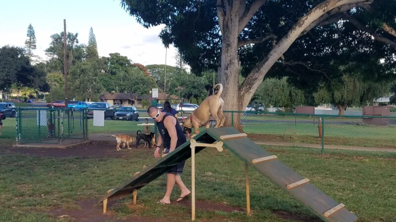 Wheeler Dog Park - Wahiawa, HI