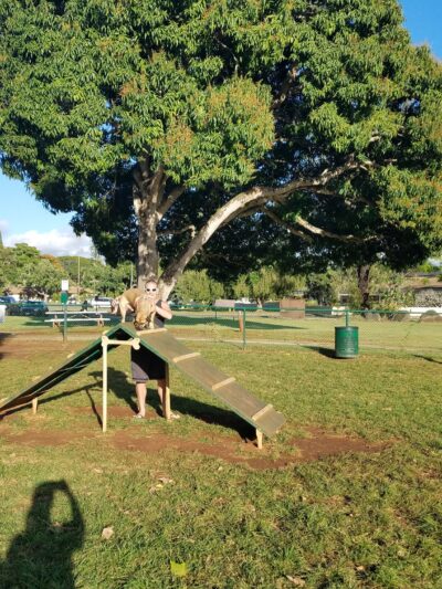 Wheeler Dog Park - Wahiawa, HI