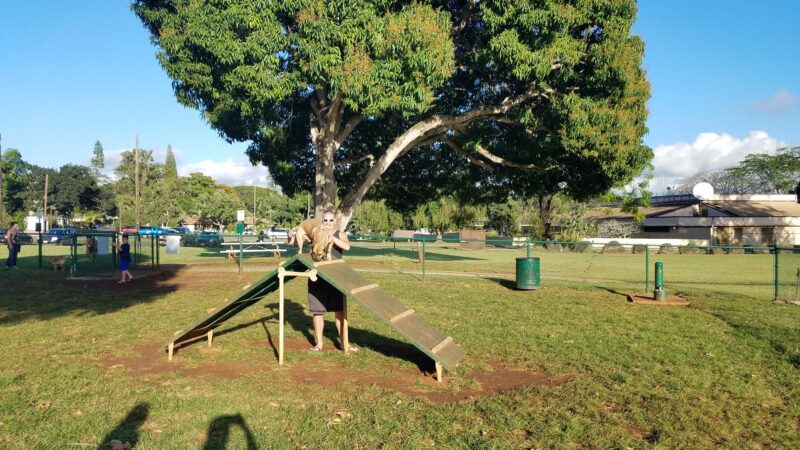 Wheeler Dog Park - Wahiawa, HI