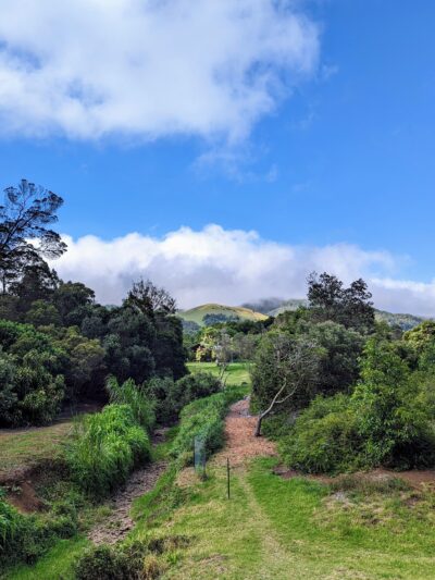Ulu La‘au (Waimea Nature Park) - Waimea, HI