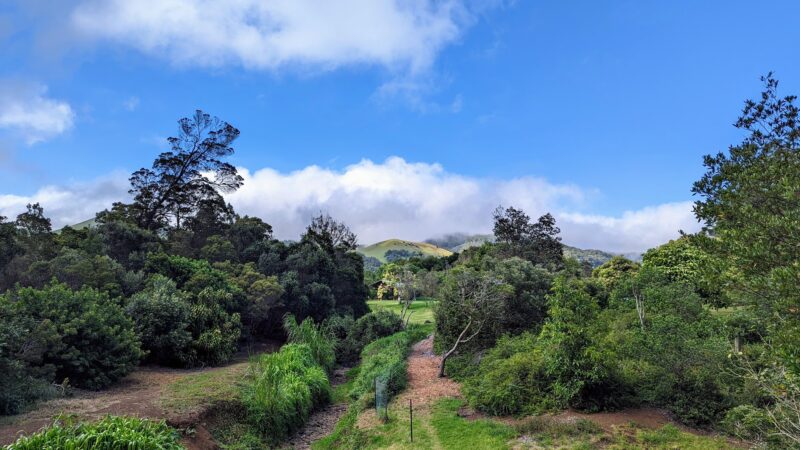 Ulu La‘au (Waimea Nature Park) - Waimea, HI