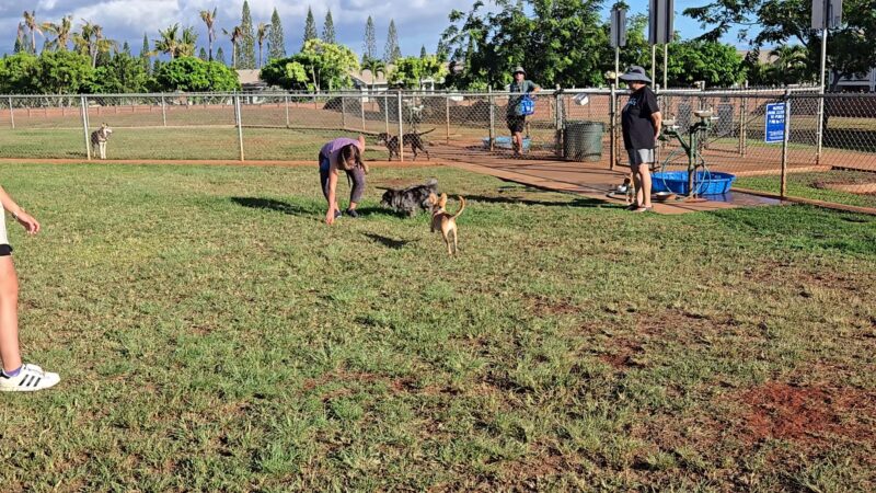 Patsy T. Mink Central O'ahu Dog Park - Waipahu, HI
