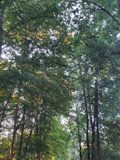 Kimball Park - Walden, NY