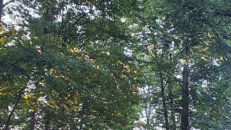 Kimball Park - Walden, NY